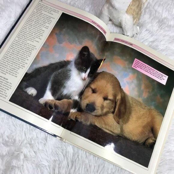 Housebreaking and Training Puppies Book & Stuffed Puppy Set - Picture 7 of 9